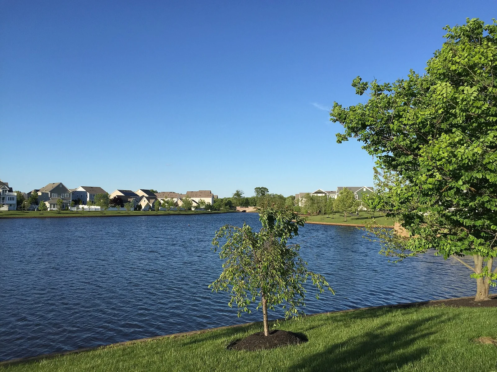 Robbinsville の湖, NJ