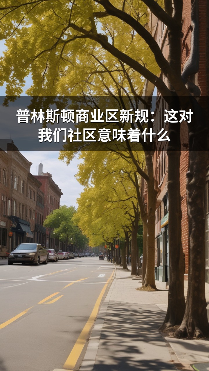 普林斯顿商业区新规：这对我们社区意味着什么