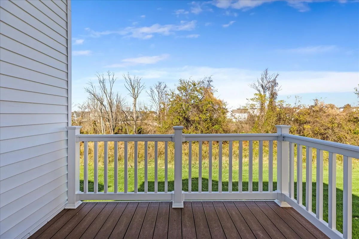 Deck & Backyard