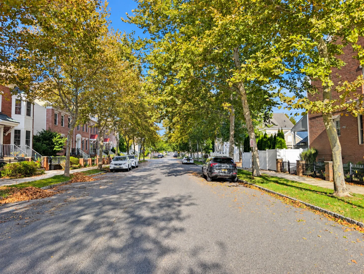 A Street Lined with Plane Trees