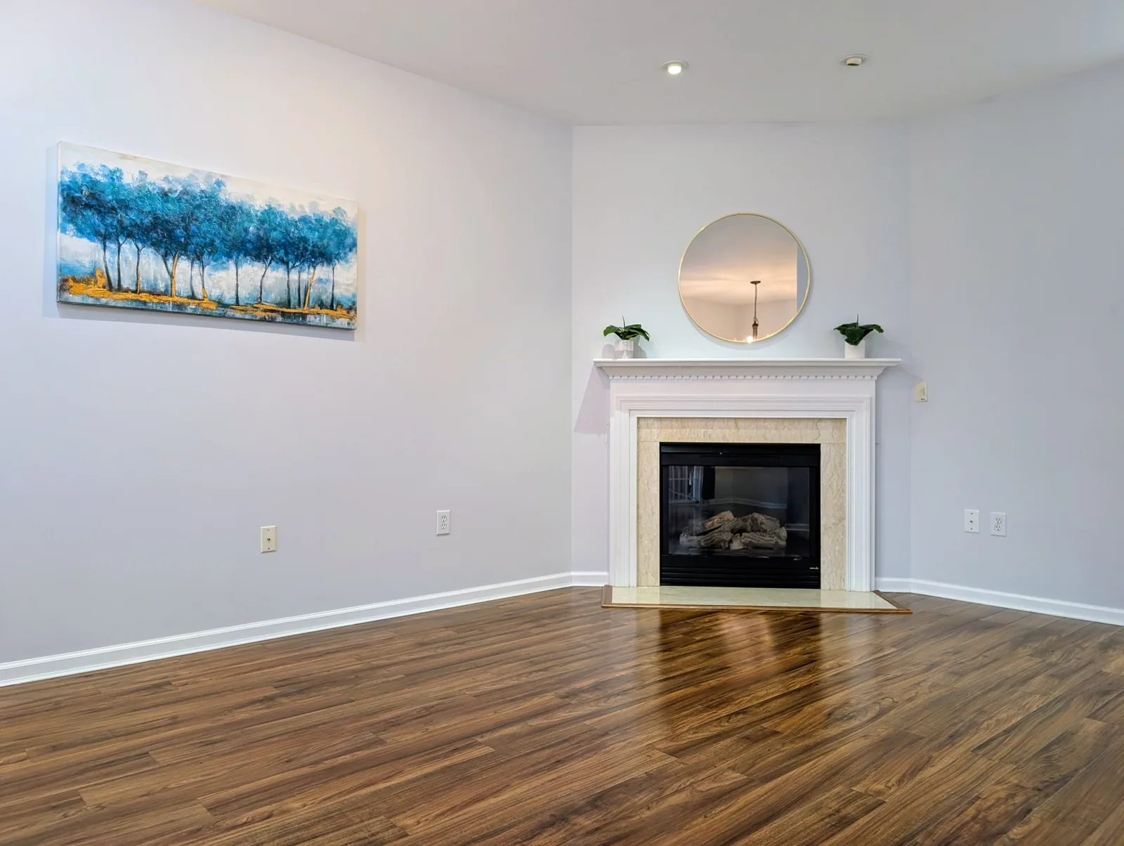 Living Room & Gas Fireplace