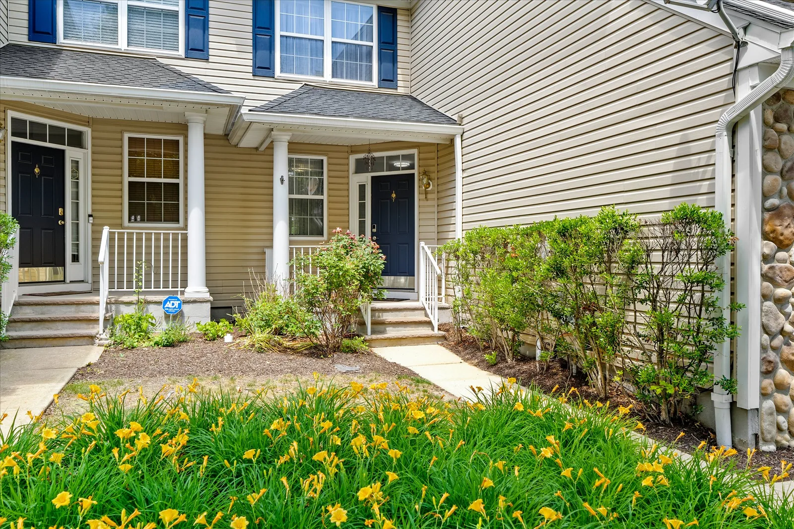 55 Scarlet Oak
